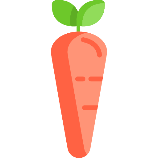 Carrot carrot vegetable healthy food icon