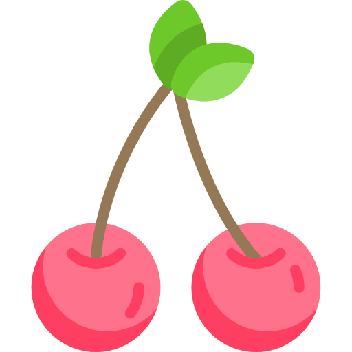 Cherries fruit diet vegan icon