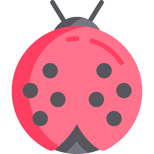 Ladybug animals wildlife wild icon