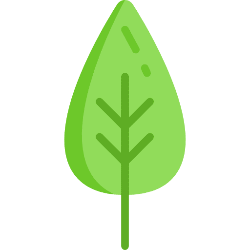 Leaf plant botanical nature icon
