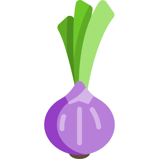 Onion organic food healthy food icon