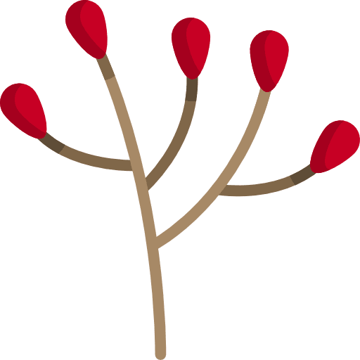 Branch nature leaves barley icon