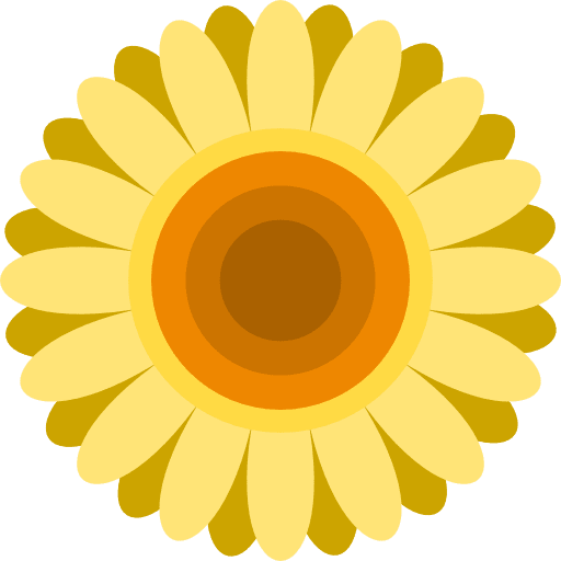 Sunflower flower petals blossom icon
