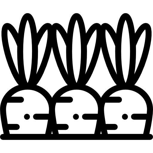 Carrots diet farming and gardening vegan icon