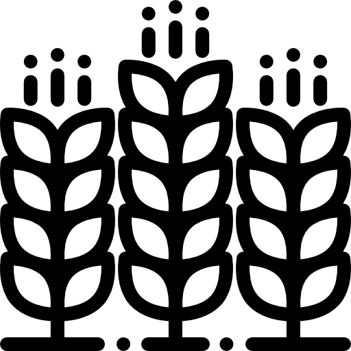 Cereals food cereal farm icon