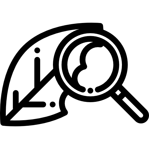 Leaf farming and gardening plant magnifying glass icon