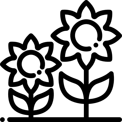 Sunflower blossom flower nature icon