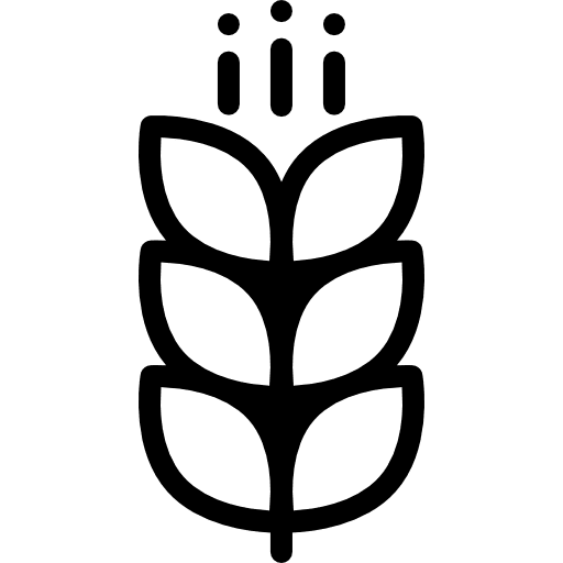 Cereal rice grain branch icon