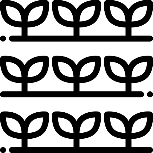 Sprout sprouts sprout farming and gardening icon