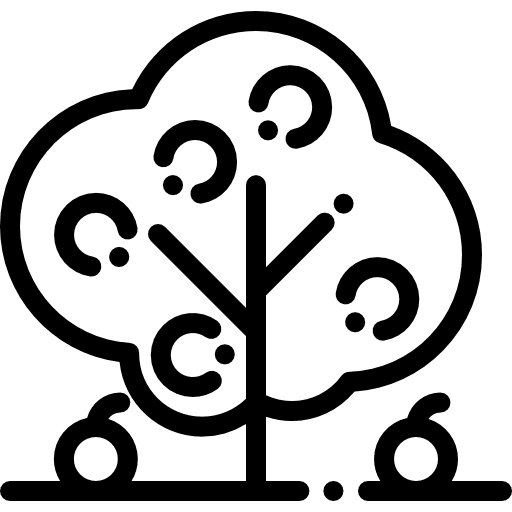 Tree apple botanical fruit tree icon