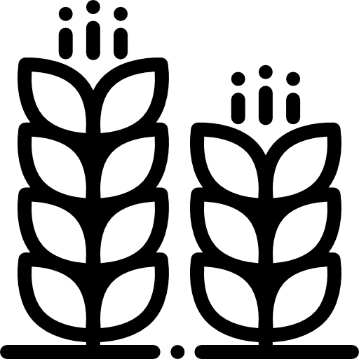 Cereal seeds branch food and restaurant icon