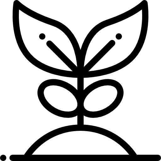 Plant growing seed gardening ecology and environment icon