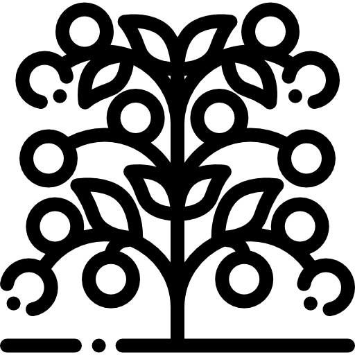 Tomato food and restaurant organic vegetarian icon