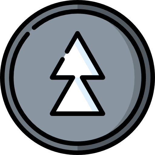 Fast forward interface orientation direction icon