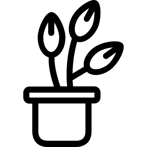 Pot home decoration plant flowers icon