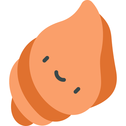 Shell aquarium sea snail sea life icon