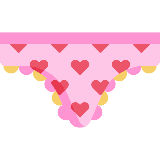 Panties romantic femenine knickers icon
