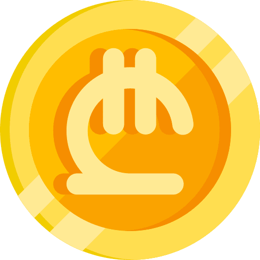 Lari economy coin currency icon