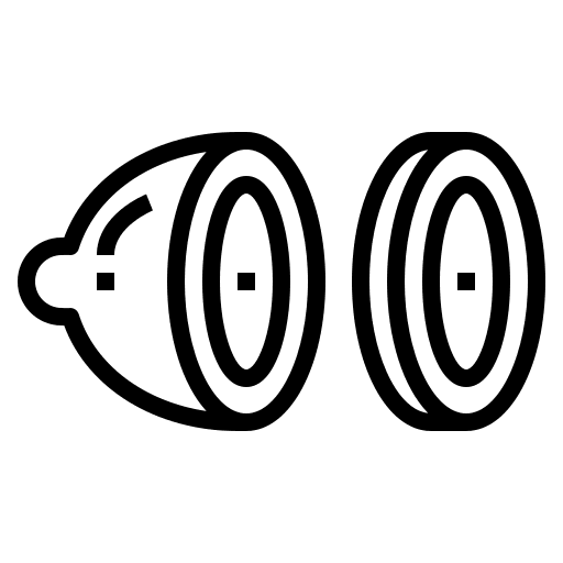 Lemon food lemon healthy food icon