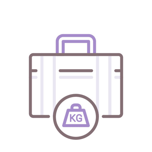 Baggage holidays travel trip icon