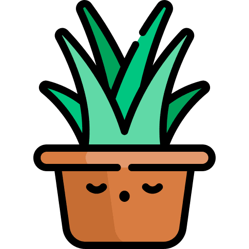 Plant pot sansevieria home decor pot icon