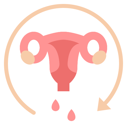 Menstrual cycle uterus cycle ovary icon