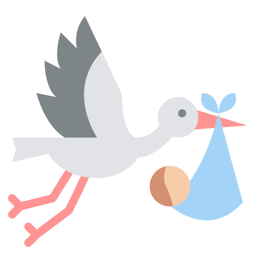 Newborn kid and baby stork birth icon