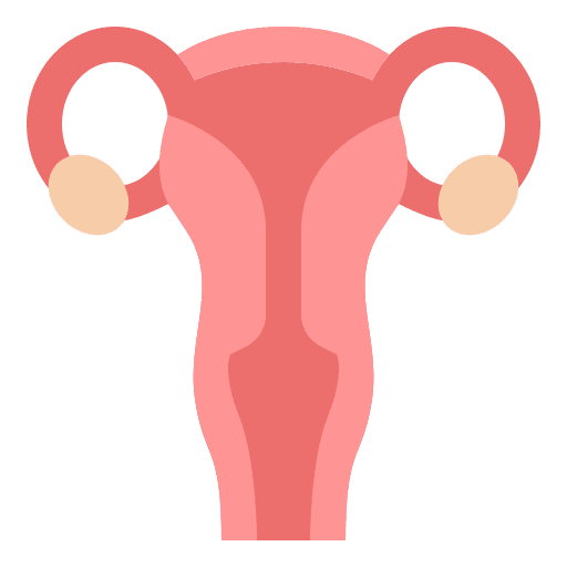 Uterus uterus vagina fallopian tubes icon