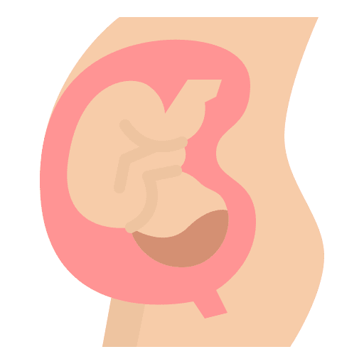 Pregnancy mother healthcare and medical maternity icon
