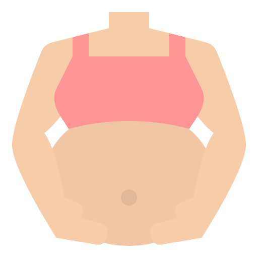 Pregnant maternity pregnancy pregnant icon