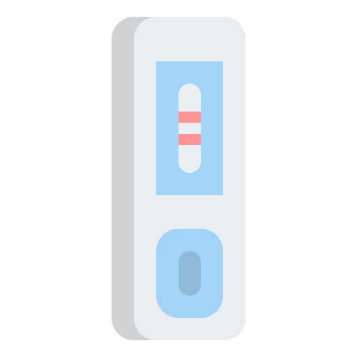 Pregnancy test maternity test pregnancy test icon