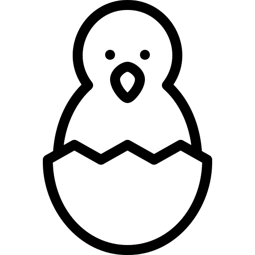 Chick bird egg chick icon