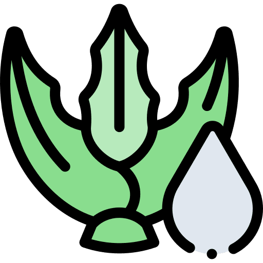 Aloe vera plant aloe vera beauty icon