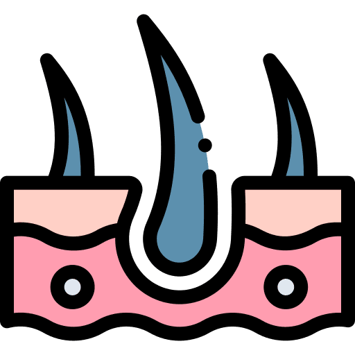 Epidermis healthcare and medical human body follicle icon