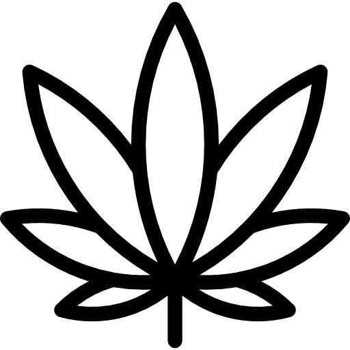Cannabis cannabis botanical drug icon