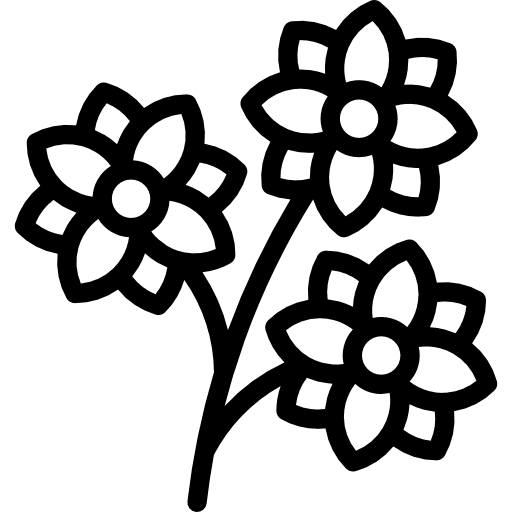 Flower blossom botanical petals icon