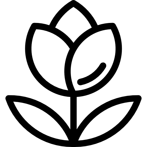 Flower blossom nature flower icon