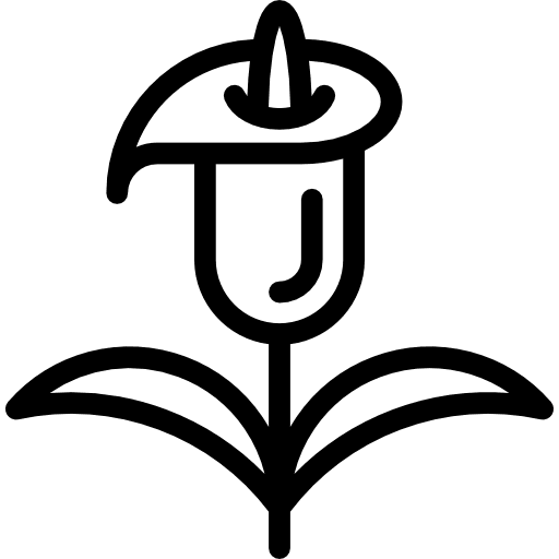 Flower nature blossom petals icon