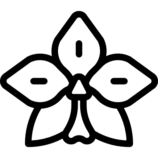 Flower petals blossom nature icon