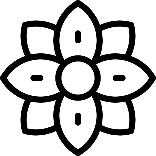 Flower petals nature flower icon