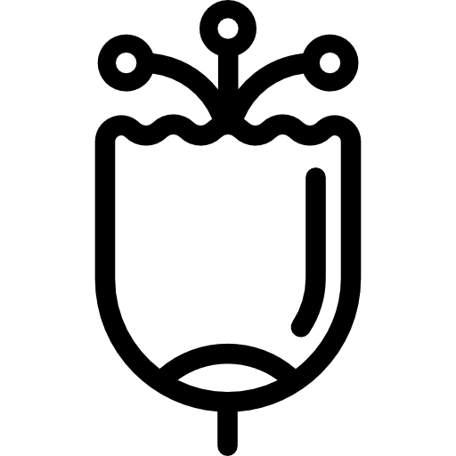 Flower blossom botanical petals icon