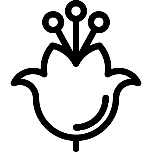 Flower flower blossom petals icon