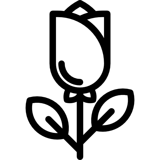 Rose nature botanical petals icon