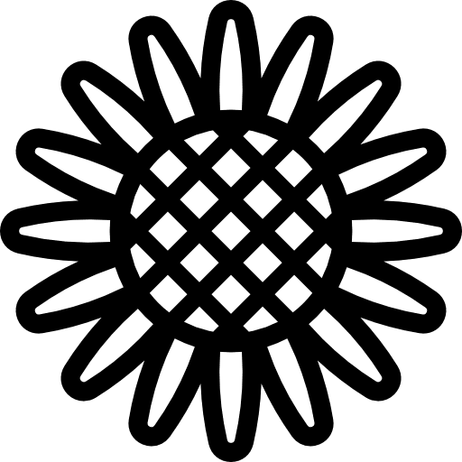 Sunflower petals flower blossom icon