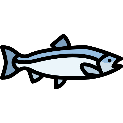 Salmon wildlife animals fish icon