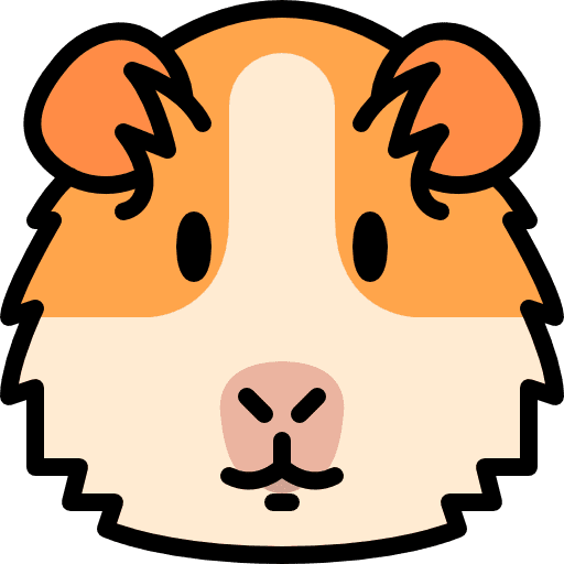 Guinea pig mammal pet wild icon
