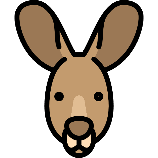 Kangaroo animal mammal australia icon