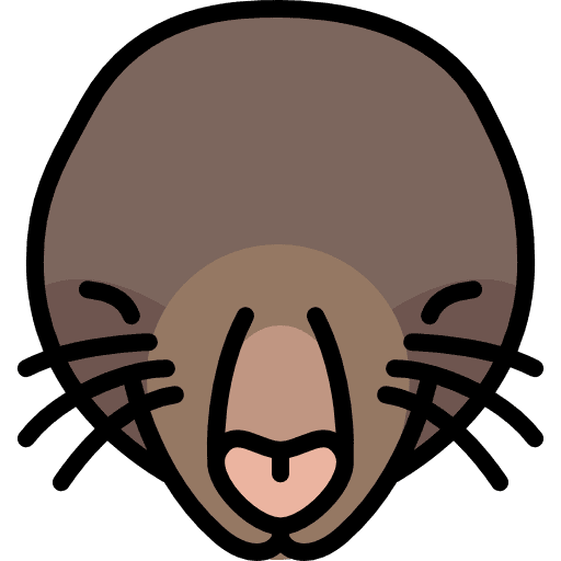 Mole blind wild animals icon