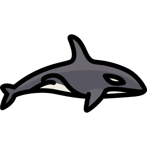 Orca orca shapes animal kingdom icon