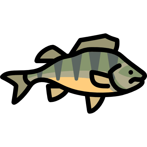 Perch aquatic animal wildlife icon